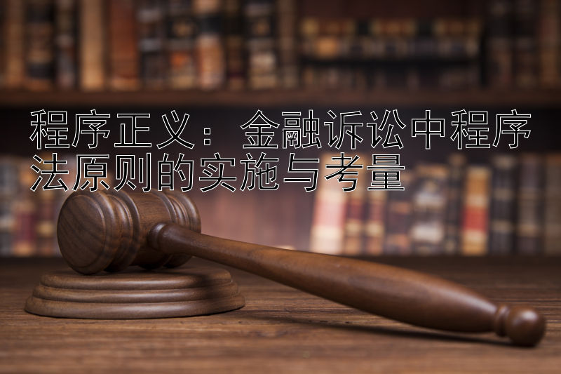 程序正义：金融诉讼中程序法原则的实施与考量