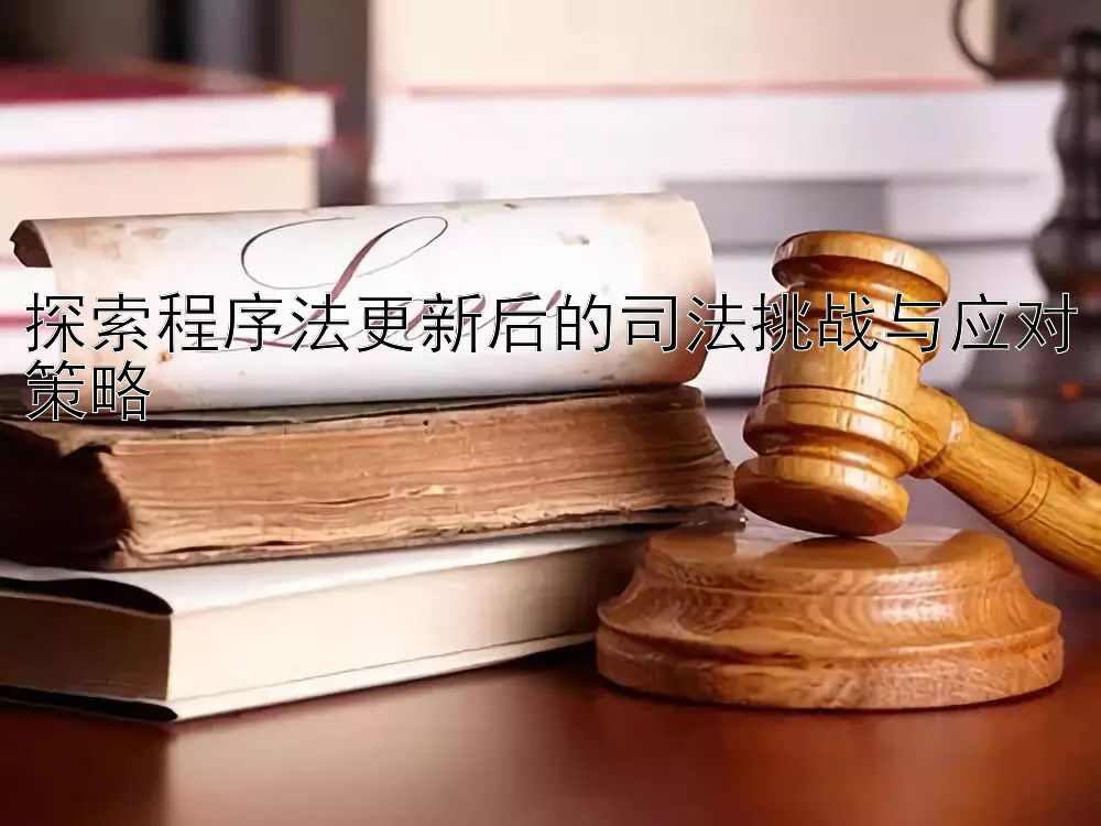 探索程序法更新后的司法挑战与应对策略