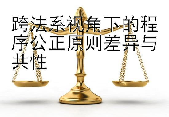 跨法系视角下的程序公正原则差异与共性