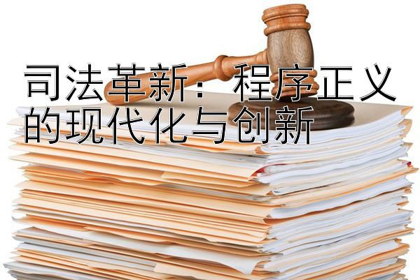 司法革新：程序正义的现代化与创新