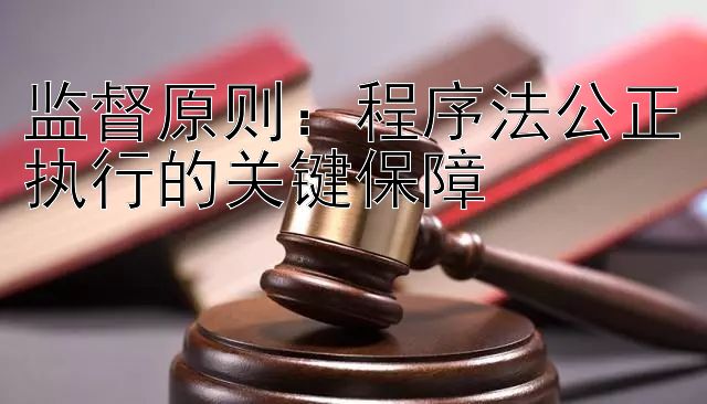 监督原则：程序法公正执行的关键保障