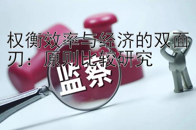 权衡效率与经济的双面刃：原则比较研究