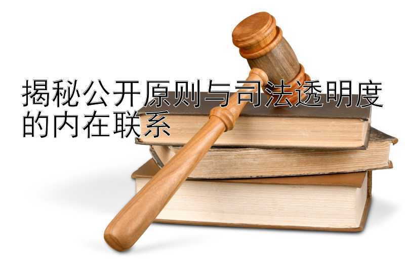 揭秘公开原则与司法透明度的内在联系