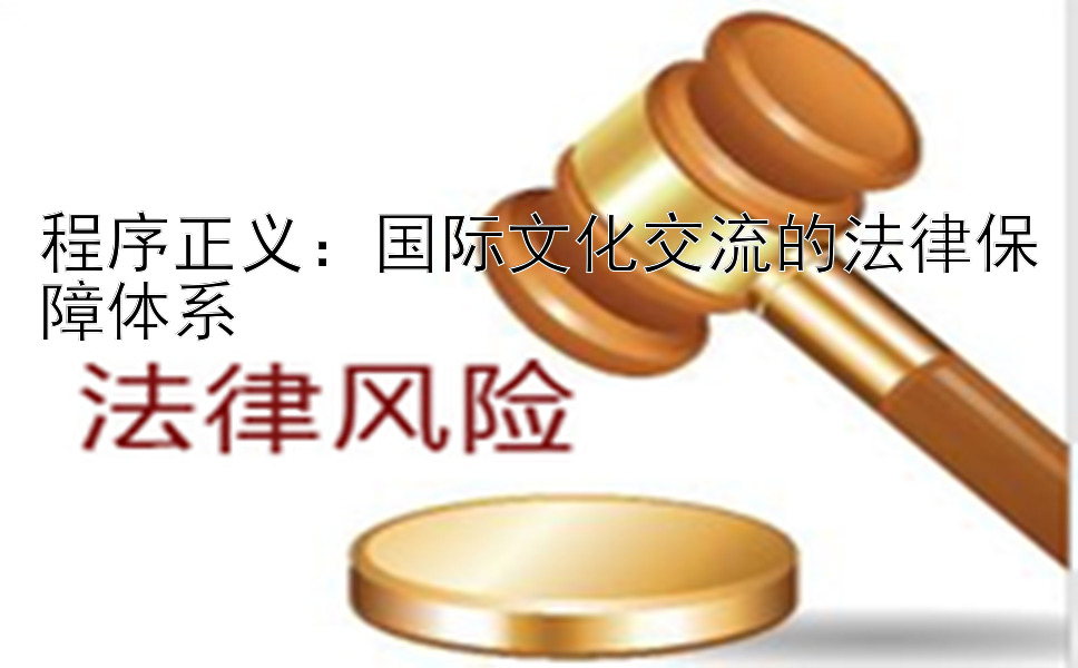 程序正义：国际文化交流的法律保障体系