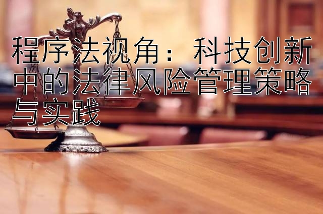 程序法视角：科技创新中的法律风险管理策略与实践