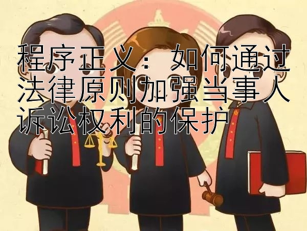 程序正义：如何通过法律原则加强当事人诉讼权利的保护