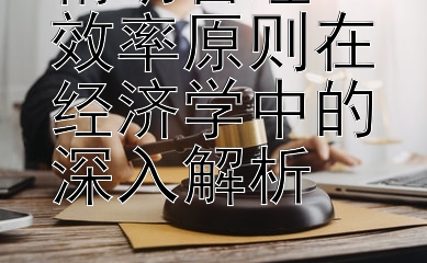 精明管理：效率原则在经济学中的深入解析