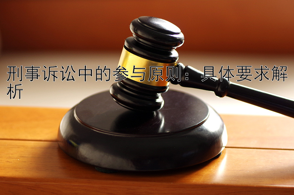 刑事诉讼中的参与原则：具体要求解析