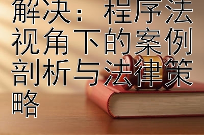 电子商务争端解决：程序法视角下的案例剖析与法律策略