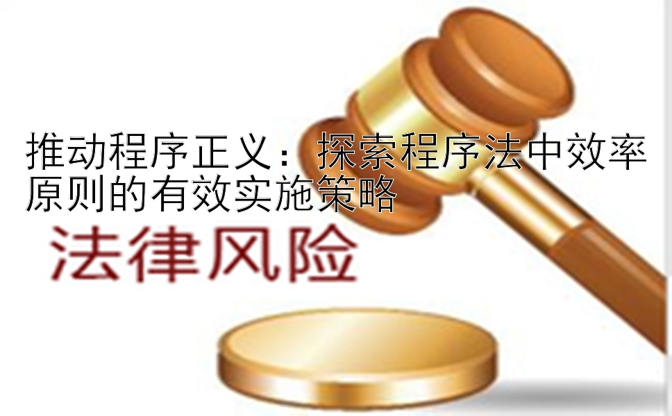 推动程序正义：探索程序法中效率原则的有效实施策略