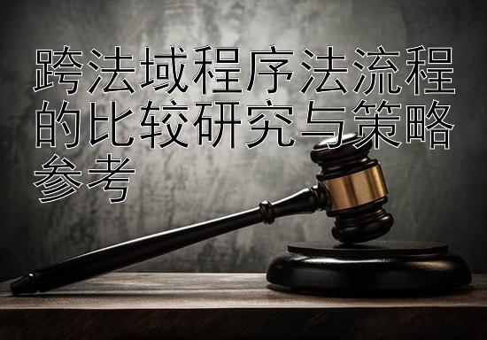 跨法域程序法流程的比较研究与策略参考