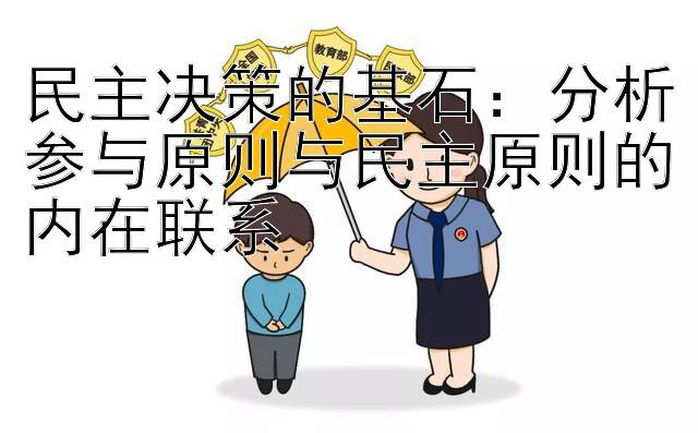 民主决策的基石：分析参与原则与民主原则的内在联系