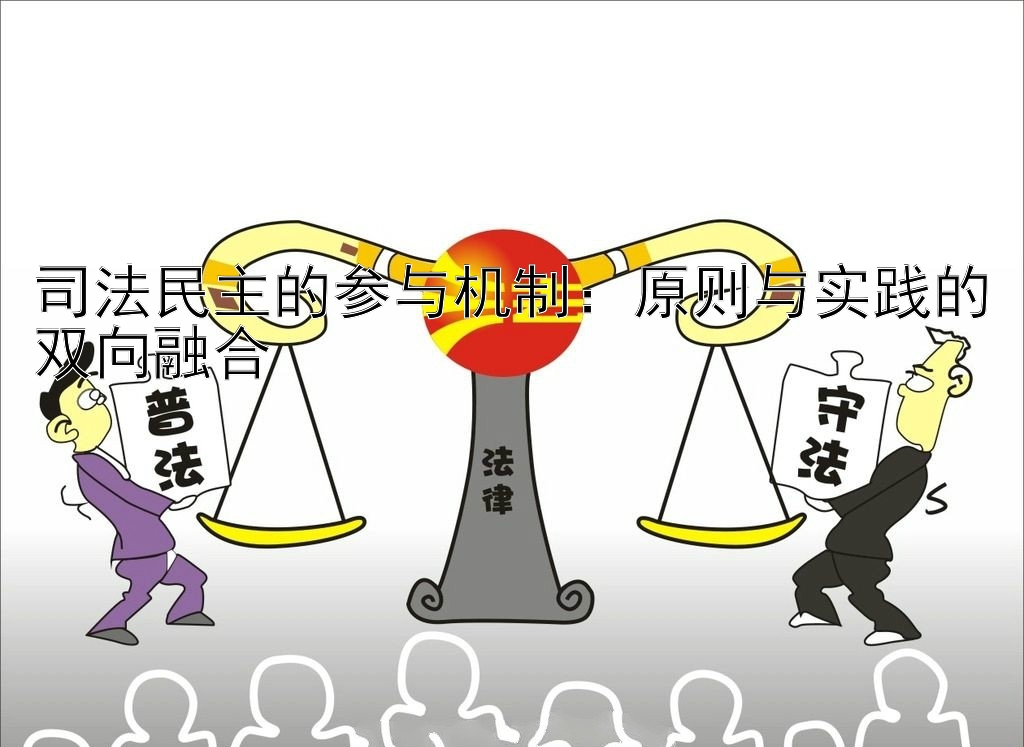 司法民主的参与机制：原则与实践的双向融合