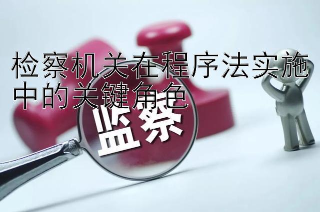 检察机关在程序法实施中的关键角色