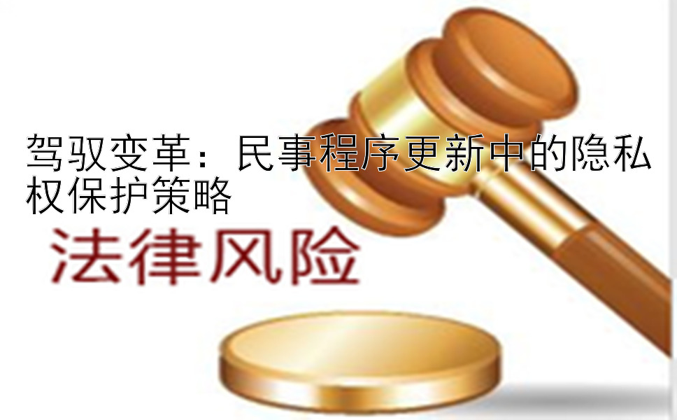 驾驭变革：民事程序更新中的隐私权保护策略