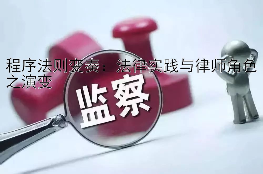 程序法则变奏：法律实践与律师角色之演变