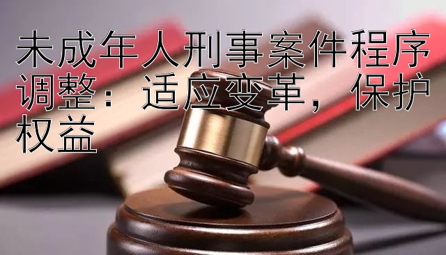 未成年人刑事案件程序调整：适应变革，保护权益