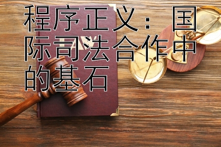 程序正义：国际司法合作中的基石