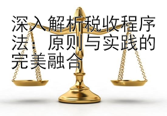 深入解析税收程序法：原则与实践的完美融合