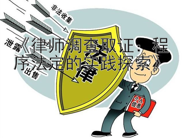 《律师调查取证：程序法定的实践探索》