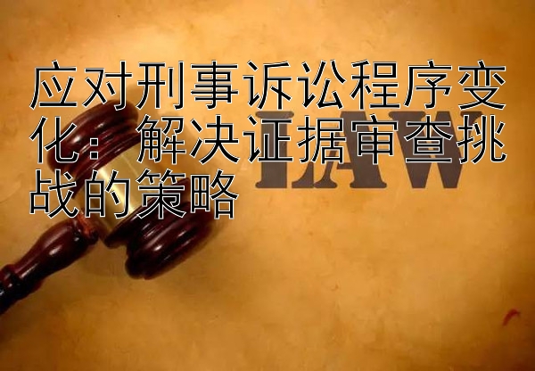 应对刑事诉讼程序变化：解决证据审查挑战的策略