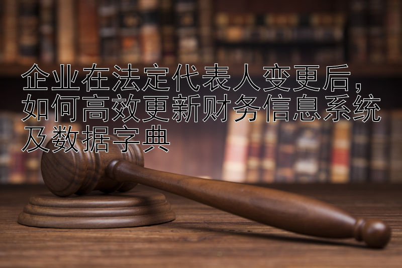 企业在法定代表人变更后，如何高效更新财务信息系统及数据字典