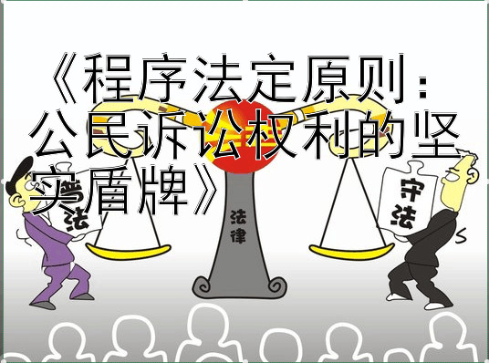 《程序法定原则：公民诉讼权利的坚实盾牌》