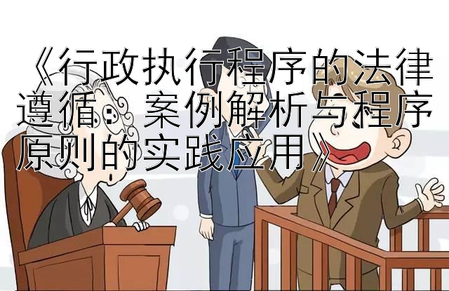 《行政执行程序的法律遵循：案例解析与程序原则的实践应用》