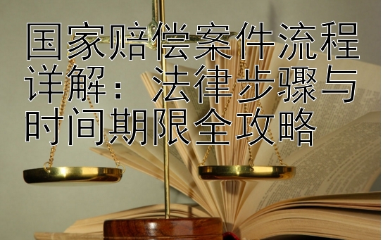 国家赔偿案件流程详解：法律步骤与时间期限全攻略