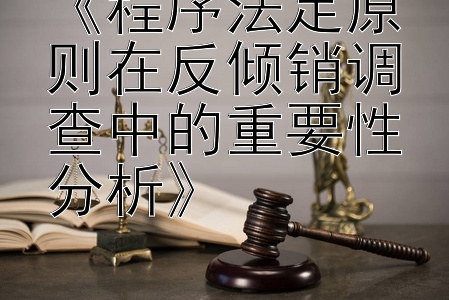 《程序法定原则在反倾销调查中的重要性分析》