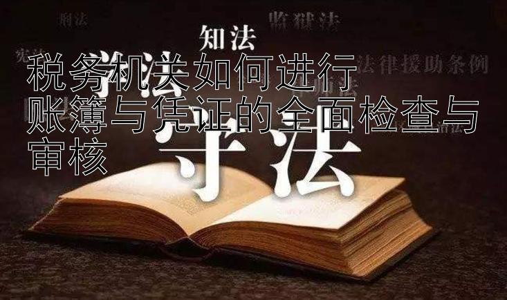 税务机关如何进行  
账簿与凭证的全面检查与审核