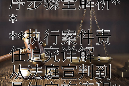 **法庭宣判后如何追究执行案件责任：程序步骤全解析**  
**执行案件责任追究详解：从法庭宣判到具体实施流程**