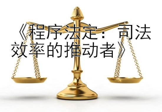 《程序法定：司法效率的推动者》